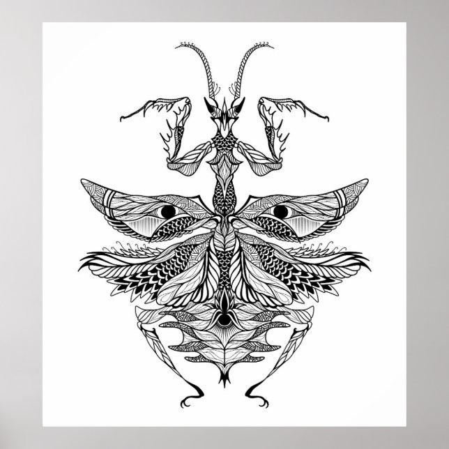 Poster Mantis de prière inspirés 2 (Devant)