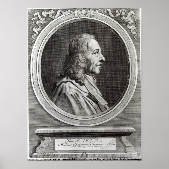 Poster Marcello Malpighi, 67 ans, 1694 (Devant)