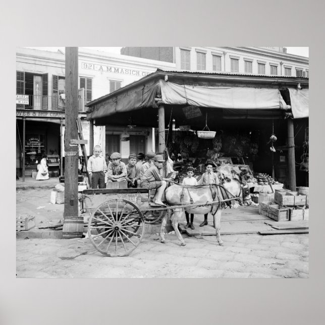 Poster Marché français, Nouvelle-Orléans : 1910 (Devant)