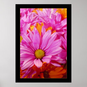 Poster Marguerites