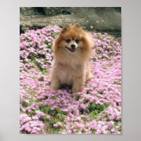 Poster Marley avec fleurs roses