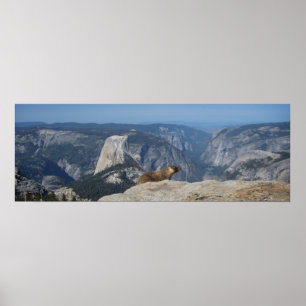 Poster Marmot Surplombant Demi-Dôme - Yosemite