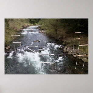 Poster Marques de course Kayak Imprimer