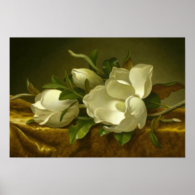 Poster Martin Johnson Heade - Magnolias on Gold Velvet (Devant)