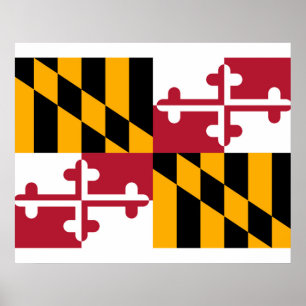 Poster Maryland State Flag Design