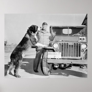 Poster Mascotte de député : 1942