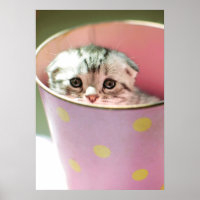 Masque de chaton