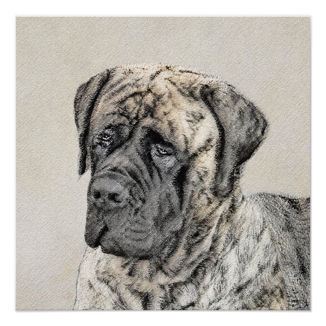 Poster Mastiff anglais (Brindle) Peinture - Chien Art (Devant)