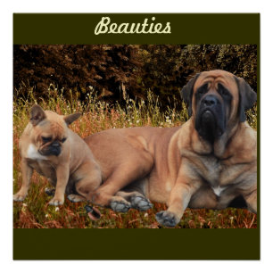 Poster Mastiff Dogge Vatertag