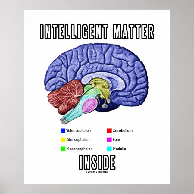 Poster Matière intelligente à l'intérieur (Humour cérébra (Devant)