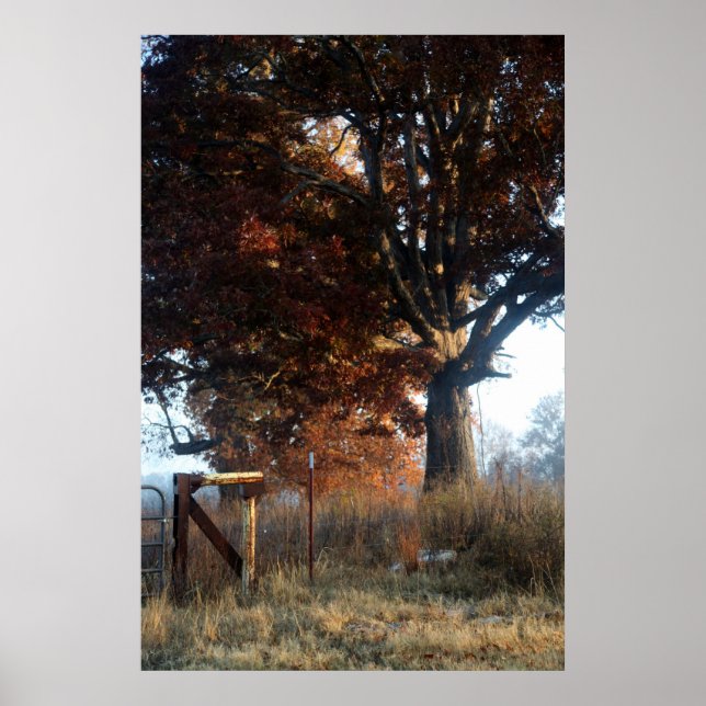 Poster Matin dans le Tennessee (Devant)