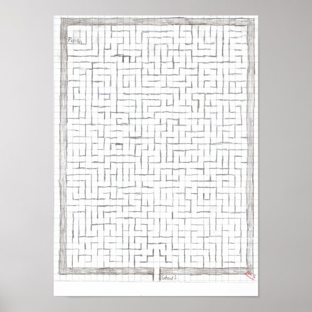 Poster Maze 1 (Devant)