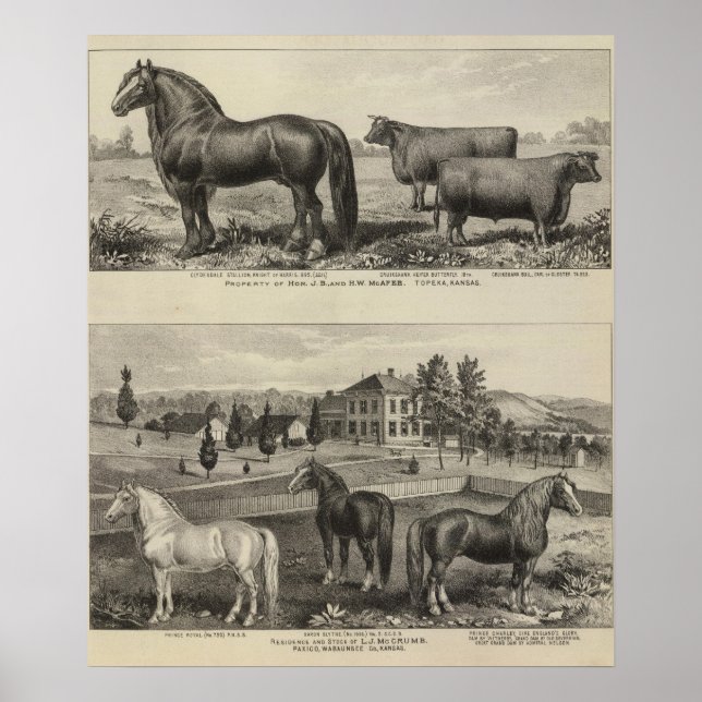 Poster McAfee property, Topeka McCrumb, Kansas (Devant)