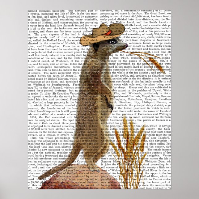 Poster Meerkat Cowboy (Devant)