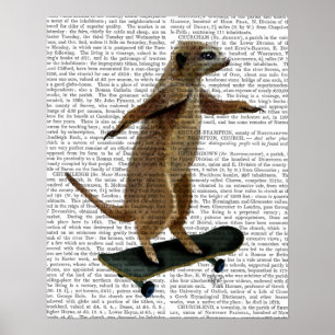 Poster Meerkat sur la planche à roulettes