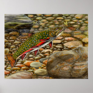 Poster Meilleur de l'exposition 2004