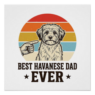 Poster Meilleur papa Havanese de tous les temps Design de