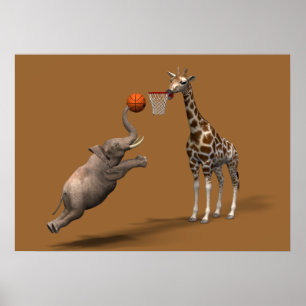 Poster Meilleur scorer de basket-ball