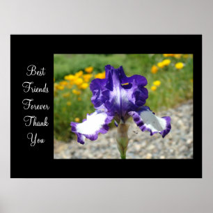 Poster Meilleures amies pour toujours Merci tirages artis