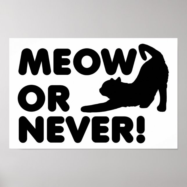 Poster Meow or Never Funny (Devant)