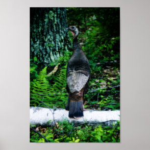 Poster Mère Turquie
