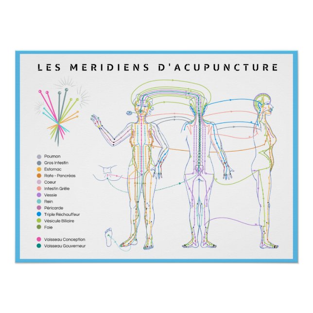 Poster Méridiens d'Acupuncture, médecine chinoise (Devant)