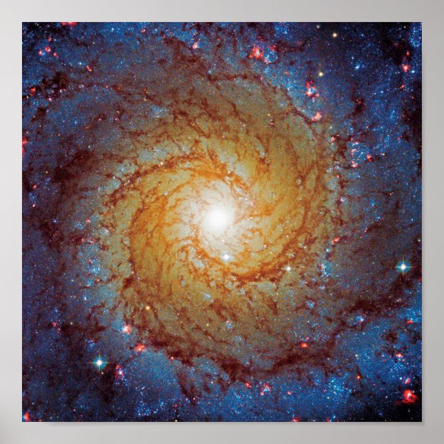 Poster Messier 74 Galaxie Spirale Photo Espace (Devant)