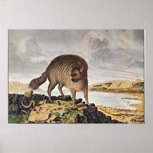 Poster "Meurent le gestreifte Hyäne "