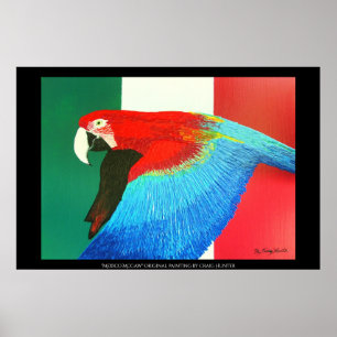 Poster Mexique McCaw