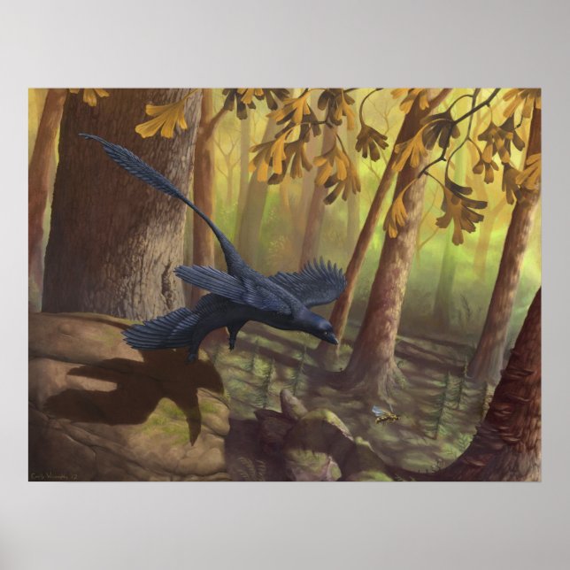 Poster Microraptor Takeoff Print (Devant)