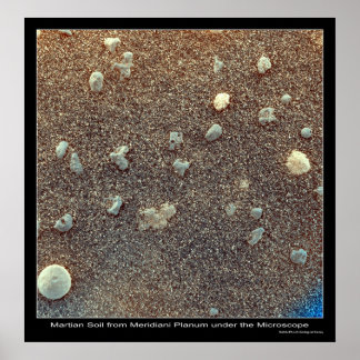Poster Microscopic View of Martian Soil