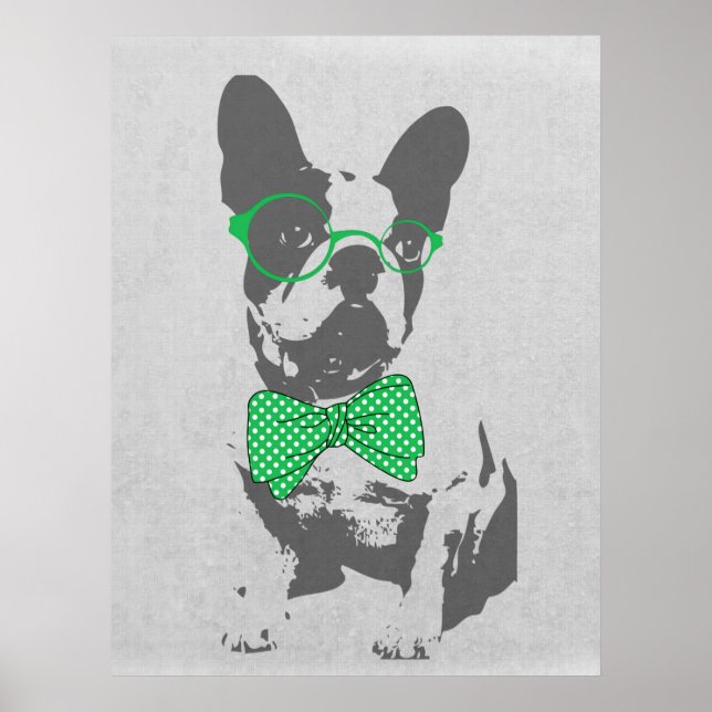 Poster Mignonne drôle animal vintage tendance French bull (Devant)