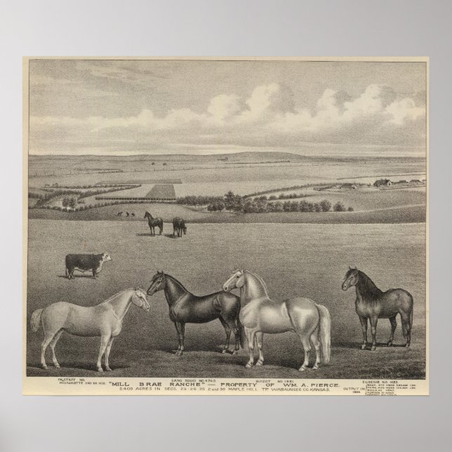 Poster Mill Brae Ranch, Kansas (Devant)