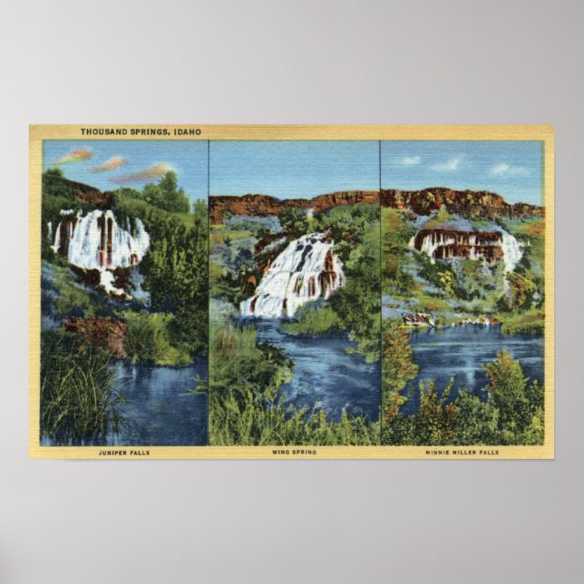 Poster Mille sources, pièce d'identité - Juniper, Wing et (Devant)