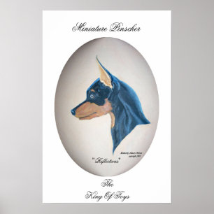 Poster Miniature de Pinscher