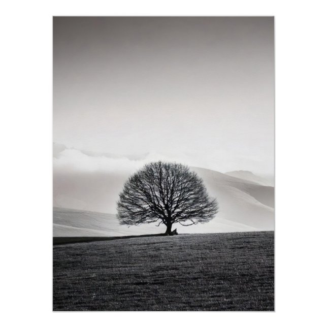 Poster Minimalist Solitary Tree Landscape | Black & White (Devant)