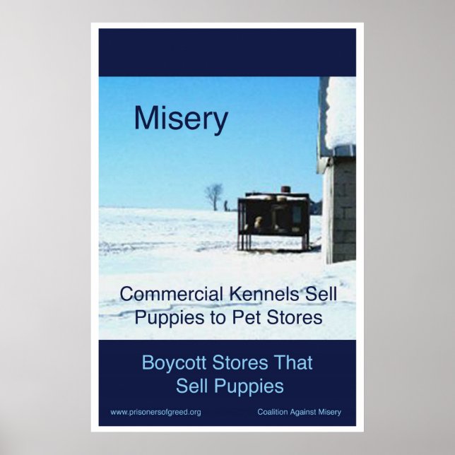 Poster Misery (Devant)