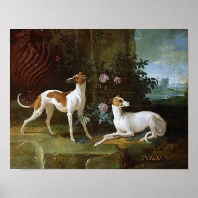 Poster Misse et Turlu, deux lévriers de Louis XV (Devant)