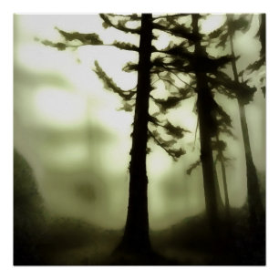 Poster Misty Morning Monotone Forest Paysage
