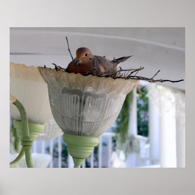 Poster Mme Dove (Devant)