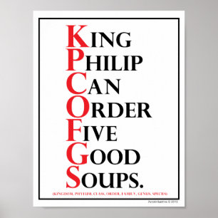 Poster Mnémonique : Le Roi Philip = identification