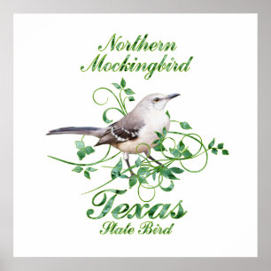 Poster Mockingbird Texas State Bird
