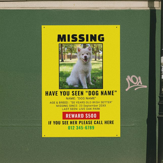 Poster Modèle d'alerte de chien disparu urgent (Créateur téléchargé)