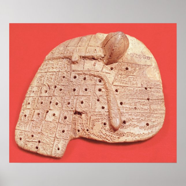 Poster Modèle du foie d'un mouton (Devant)