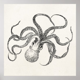 Poster Modèle Octopus vintage sur papier antique