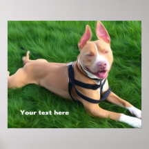 Poster moderne avec Pit bull dog sur l'herbe verte