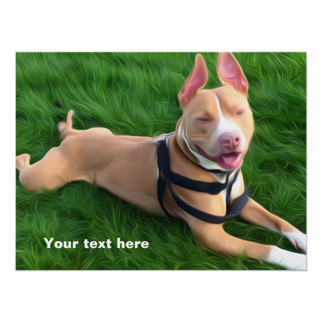 Poster moderne avec Pit bull dog sur l'herbe verte (Devant)