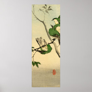 Poster Moineaux verts no.1