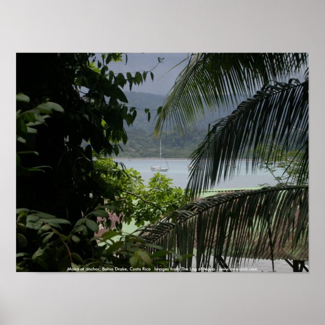 Poster Moira à l'ancre, Bahia Drake, Costa Rica (Devant)