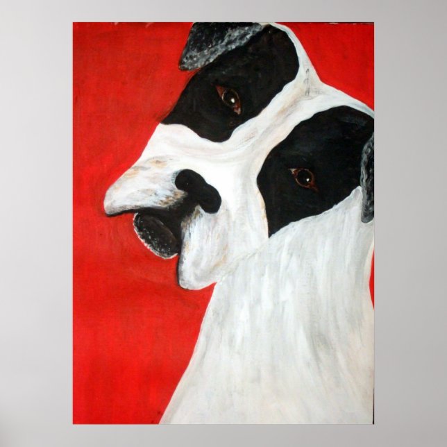 Poster Molly Dog (Devant)